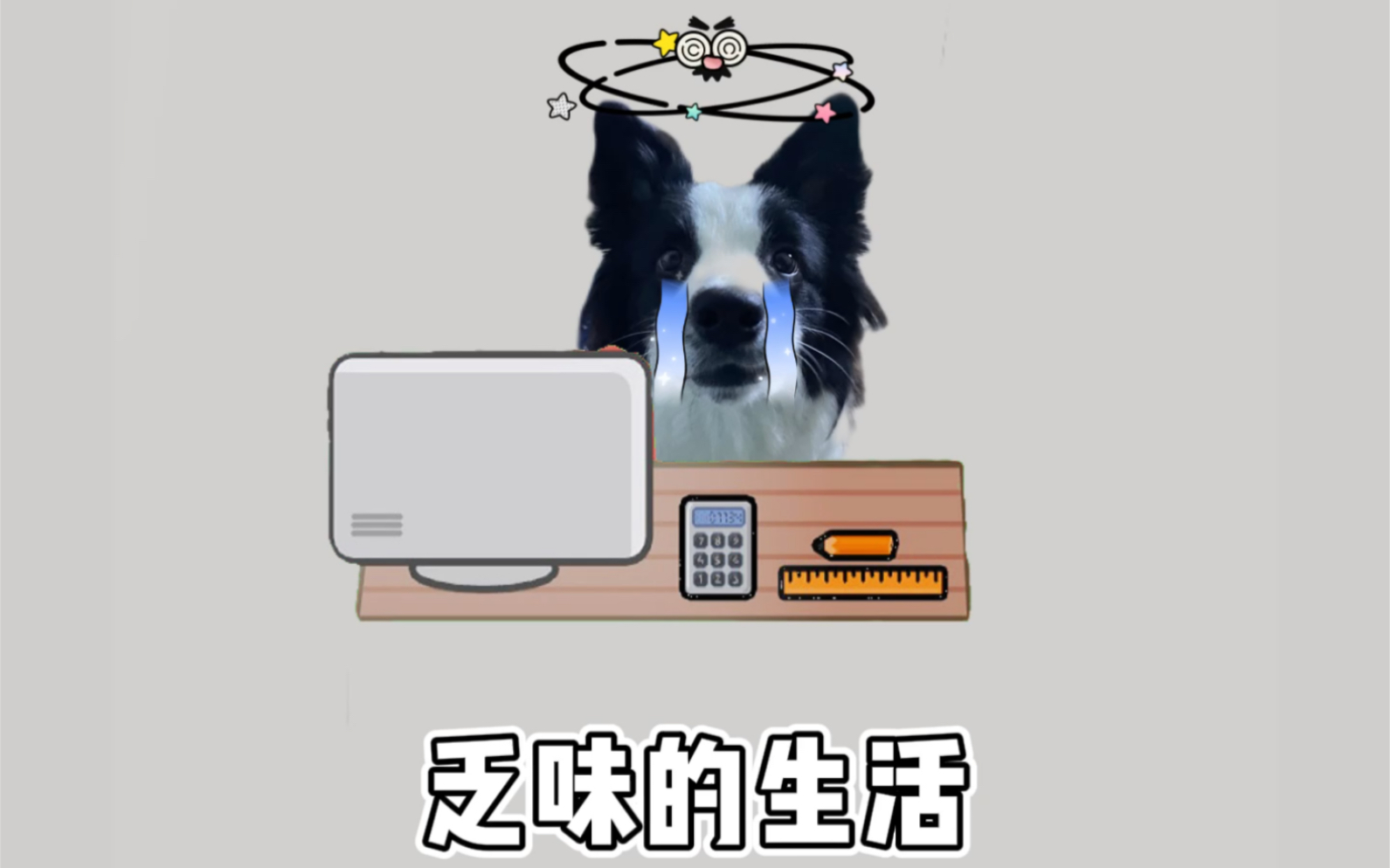 活动作品乏味的生活嗯有了小狗狗还能乏味嗯