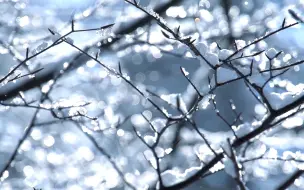 Скачать видео: “当雪花飘落，世界都变得温柔了