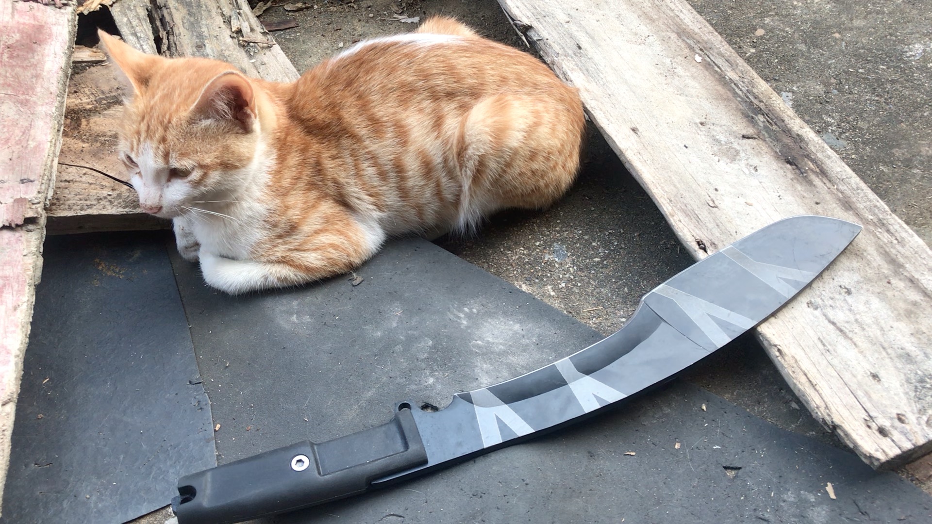 网购的极端武力尼泊尔仿品