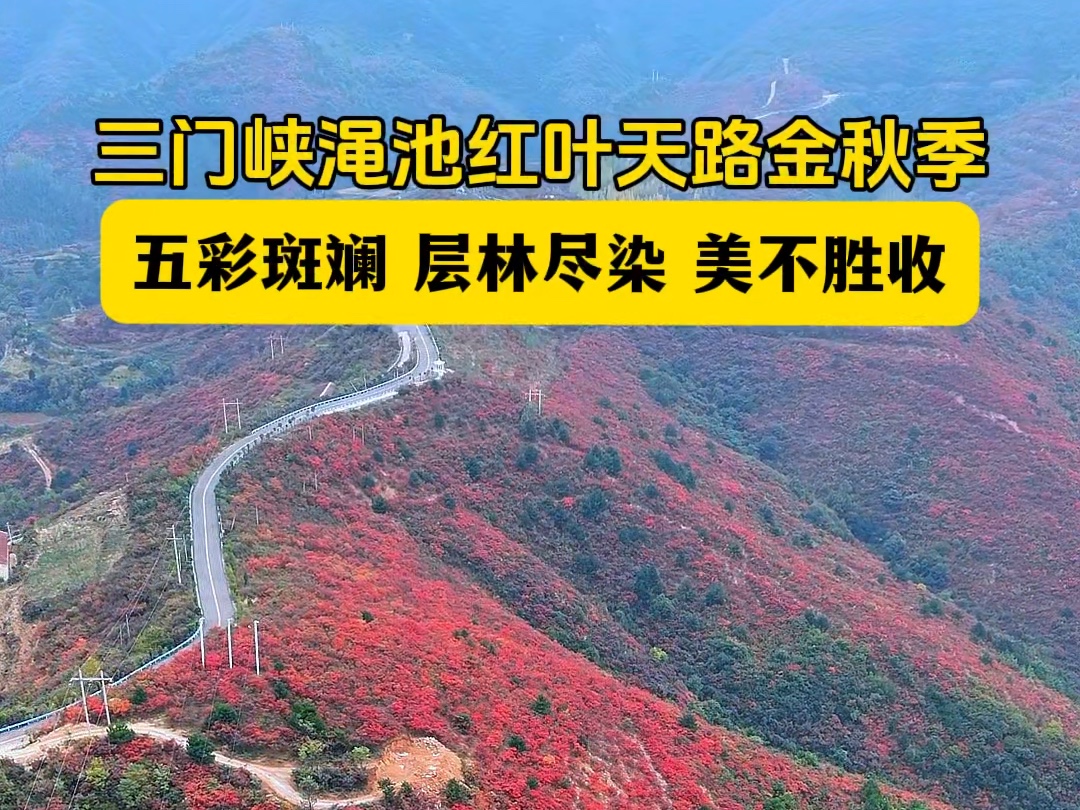 【三门峡文旅】Up主探索中,欢迎收看求三连!哔哩哔哩bilibili