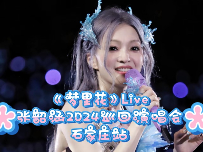 《梦里花》live张韶涵2024巡回演唱会-石家庄站 20240713