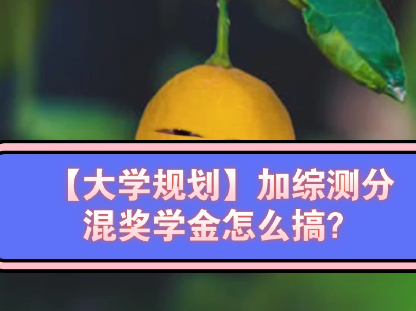 【大学规划】加综测分混奖学金怎么搞?主打一个没分硬蹭,期末别挂科,分高点,啥都得着,咱学习不行,办事不行,咱态度行就OK了哔哩哔哩bilibili