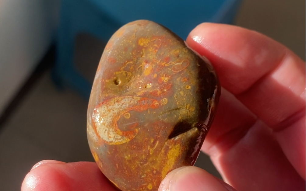 一颗奇怪的螺化石雨花石,象形小虾米