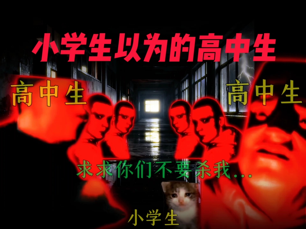 小学生和初中生以为的高中生: