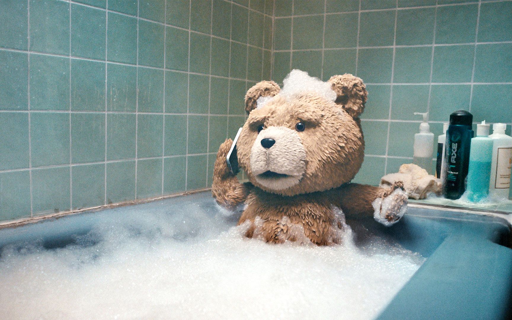 泰迪熊壁纸 1080图片