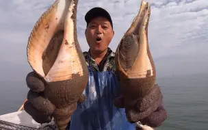 Скачать видео: 阿阳赶上海鲜暴涨时期，值钱大货抓了两筐，上岸卖了近三千块