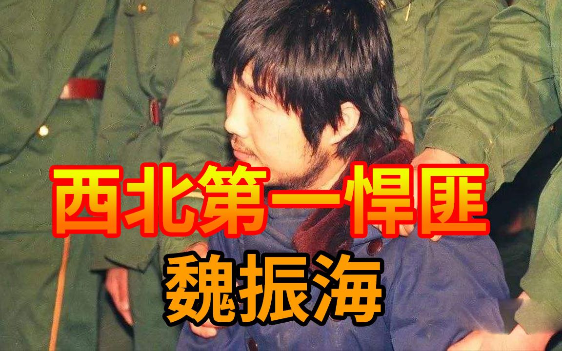 西安大追捕魏振海纪实图片