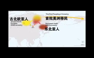搜索 哔哩哔哩 つロ干杯 bilibili 哔哩哔哩