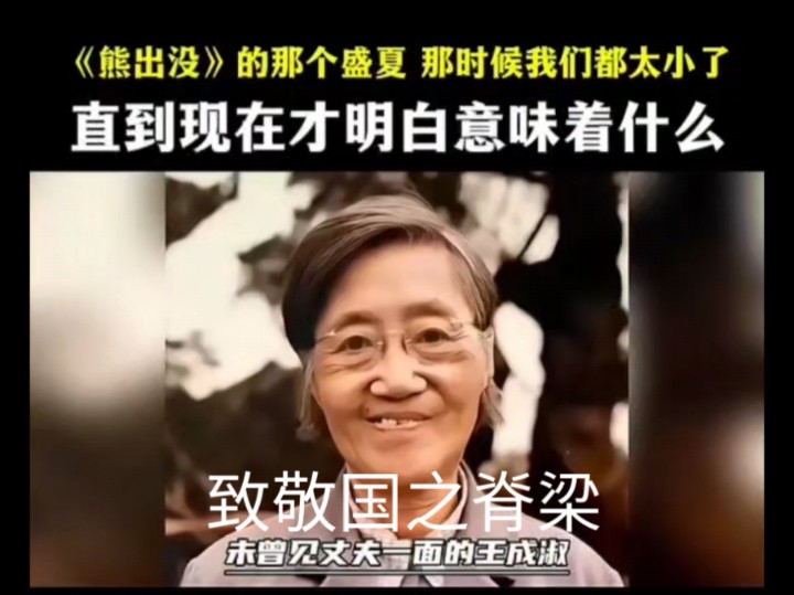 [图]CCTV播《熊出没》的那个盛夏，直到现在才明白意味着什么，原来是咱妈去南海单刀赴会了！