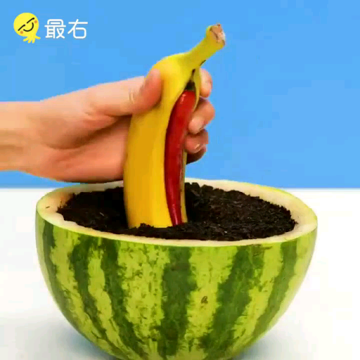 [图]种点什么在家种植各种蔬果#种植##花样