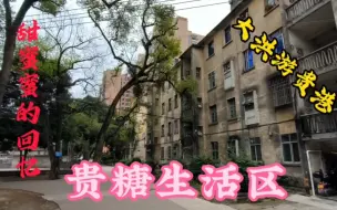 下载视频: 广西贵港，一座温柔甜蜜的小城。大洪带您逛贵糖生活区，重温美好的旧时光！