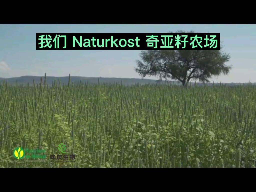 Naturkost奇亚籽工厂哔哩哔哩bilibili