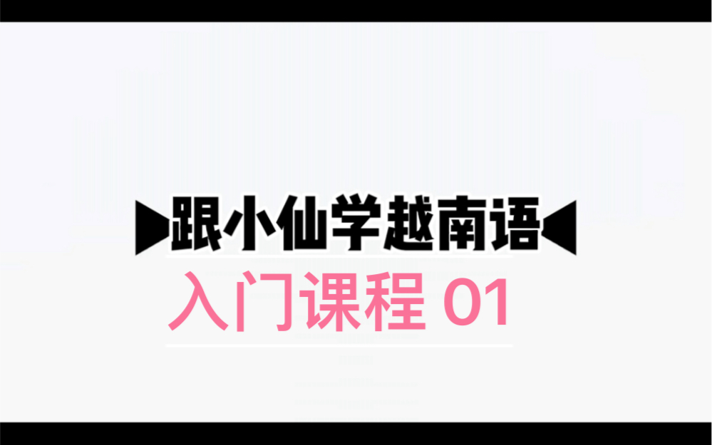 零基础越南语|越南语入门|越南语语音哔哩哔哩bilibili