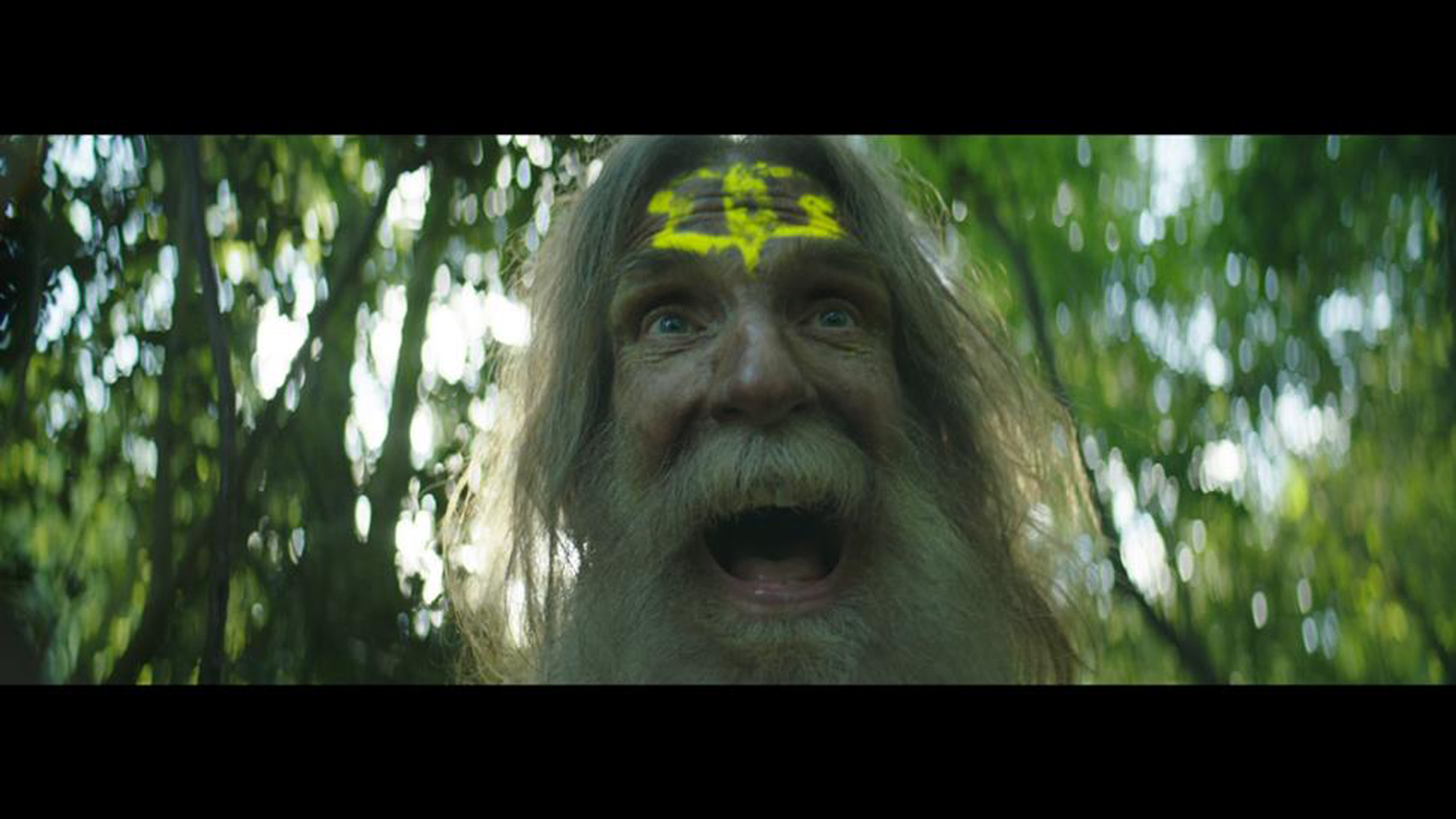 frankie sinatra - the avalanches