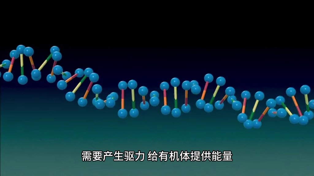 普通心理学动机的驱力理论哔哩哔哩bilibili