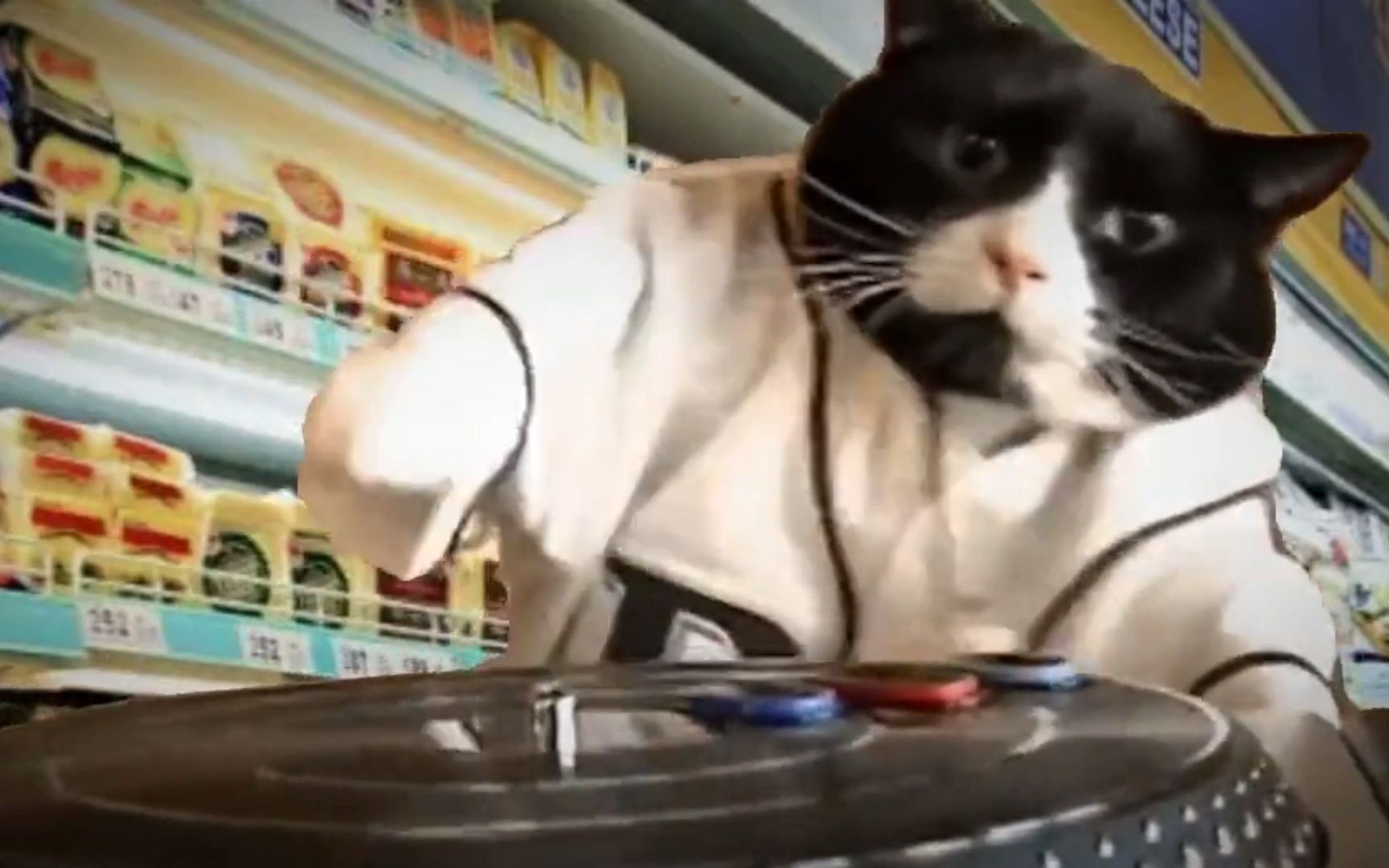 daily shitpost #87_εε©εε©_bilibili