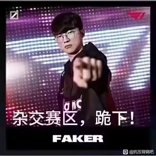 T1获得冠军后各个表情包英雄联盟