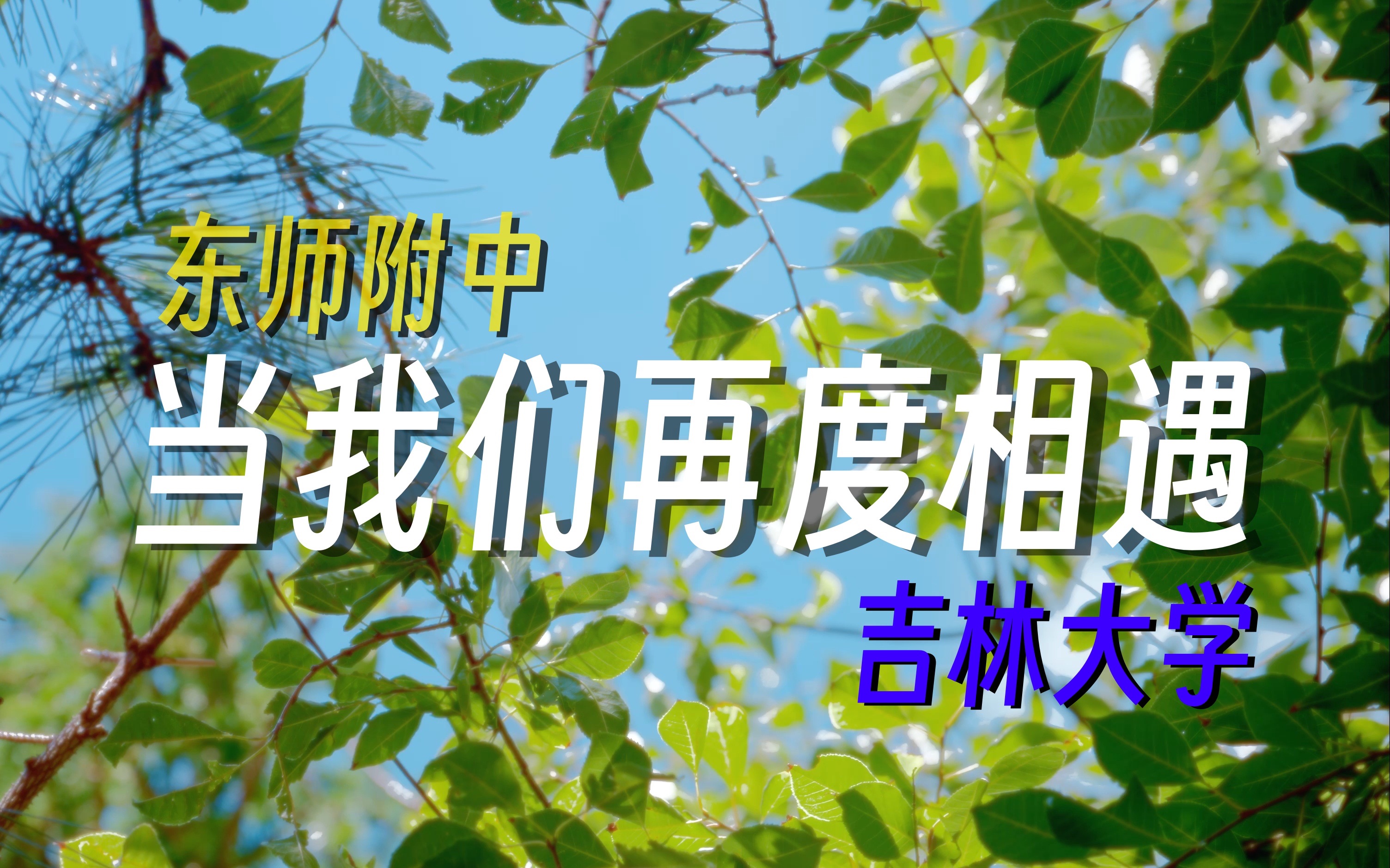 当你得知自己需要在一座城市上16年学.....哔哩哔哩bilibili