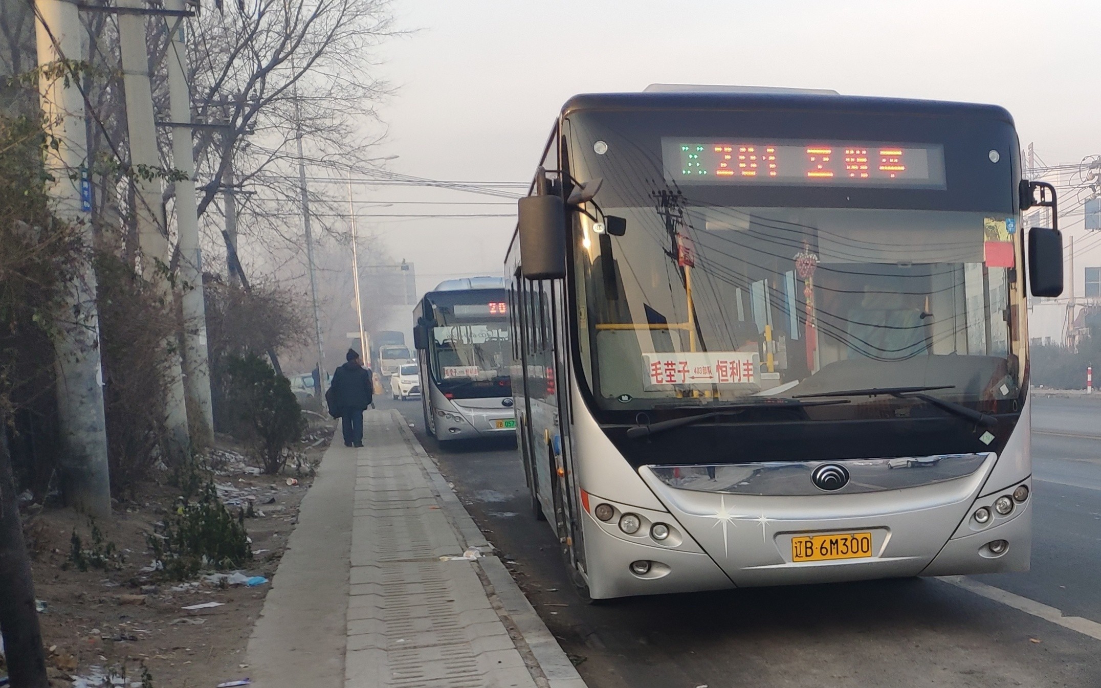 【大连公交】金州公交201路毛茔子→恒利丰商城第一视角pov