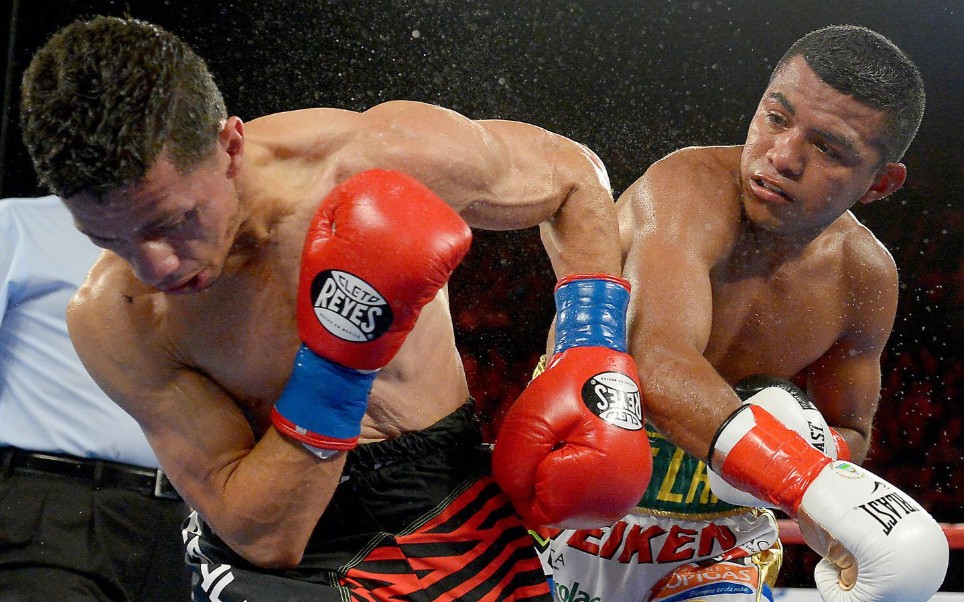 罗曼61冈萨雷斯vs麦克威廉姆斯61阿罗约