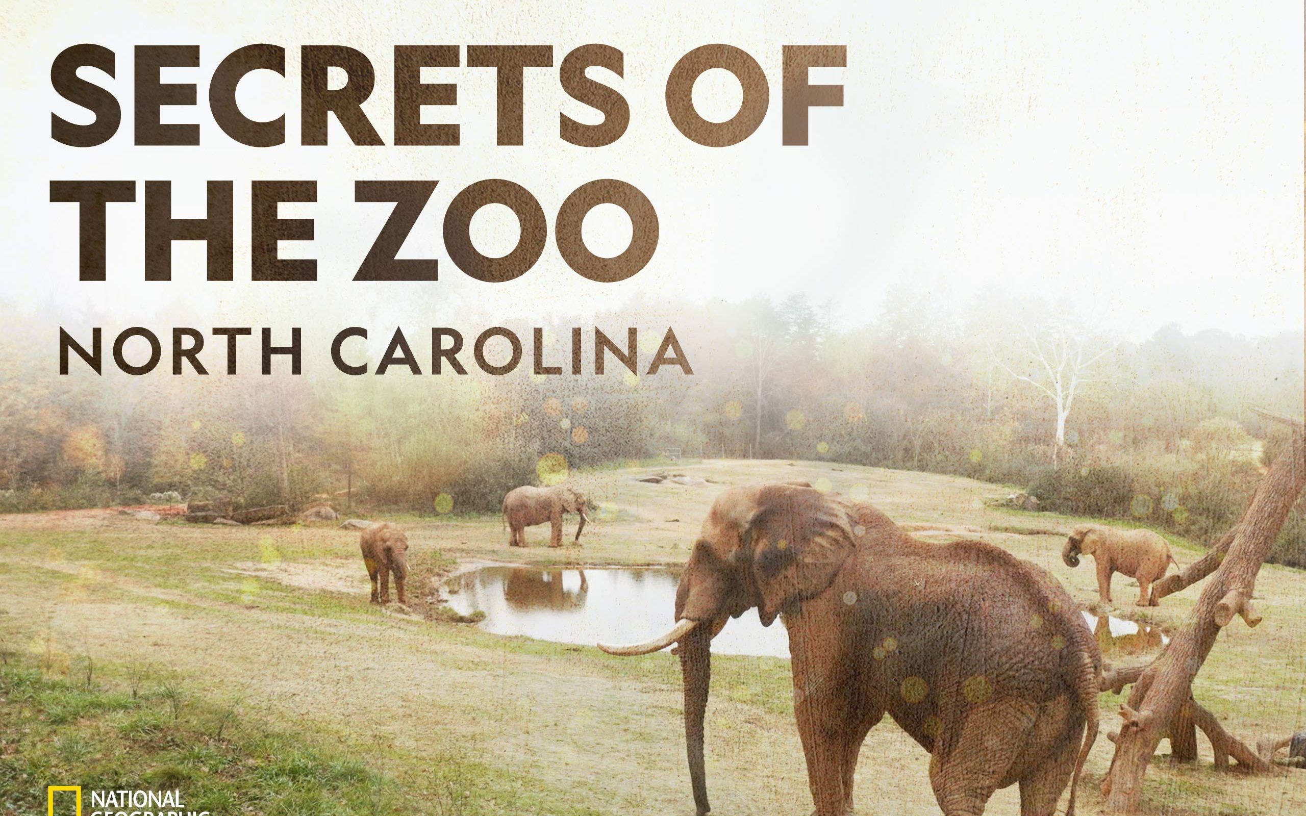 [英语中字]动物园秘辛:北卡罗来纳 Secrets of the Zoo: North Carolina (2020)哔哩哔哩bilibili