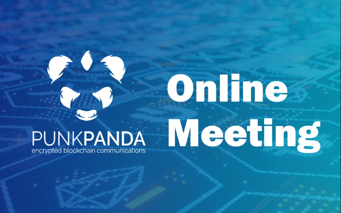 PUNKPANDA Zoom Online Meeting 技术团队线上分享会议 【英语版】哔哩哔哩bilibili