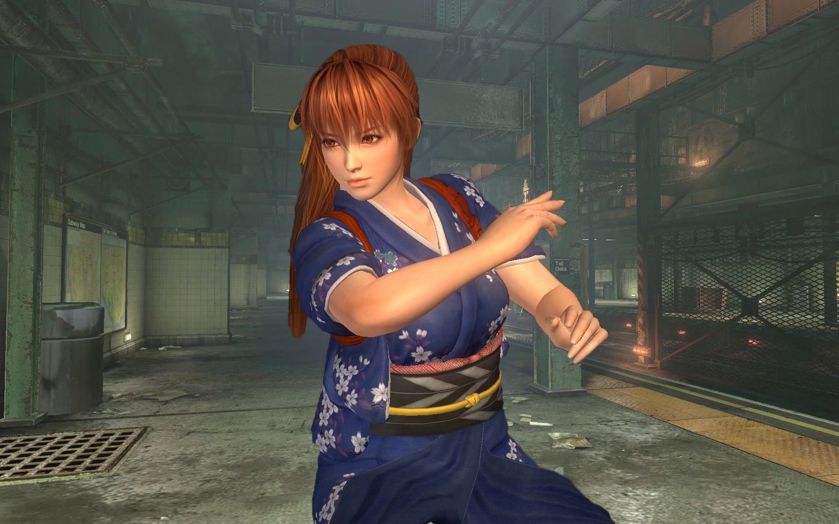 生化危机6 忍者龙剑传 细雪—霞 mod展示-冰丝l-默认收藏夹-哔哩哔哩