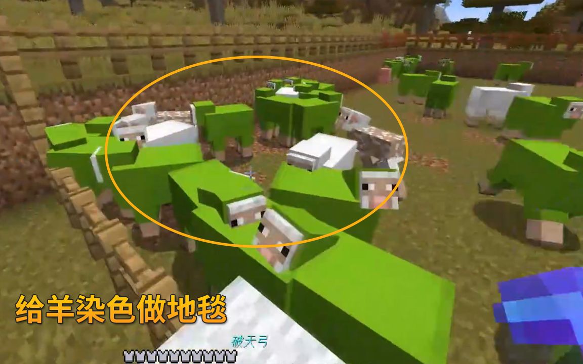 我的世界第三季90我拿仙人掌给羊群染色制作绿色地毯改造院子