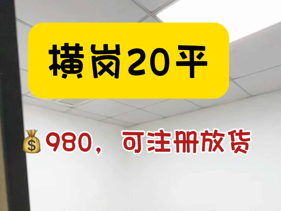 横岗20平只要980的办公室,还是全包的哦#共享办公 #注册公司 #龙岗办公室 #深圳办公室哔哩哔哩bilibili