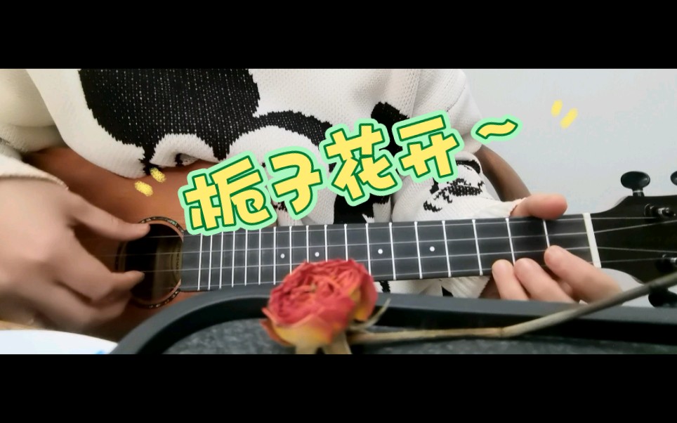 栀子花开#尤克里里