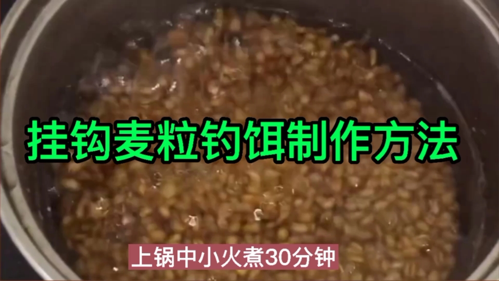 一款挂钩麦粒钓饵的制作方法 !哔哩哔哩bilibili