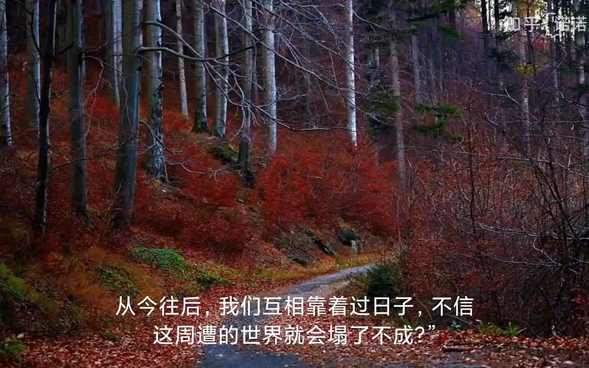 [图]原创中短篇小说连载，浮生情絮——天星青灯(大暑)