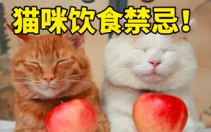 Download Video: 猫咪不能吃的30种食物 乱吃要猫命！