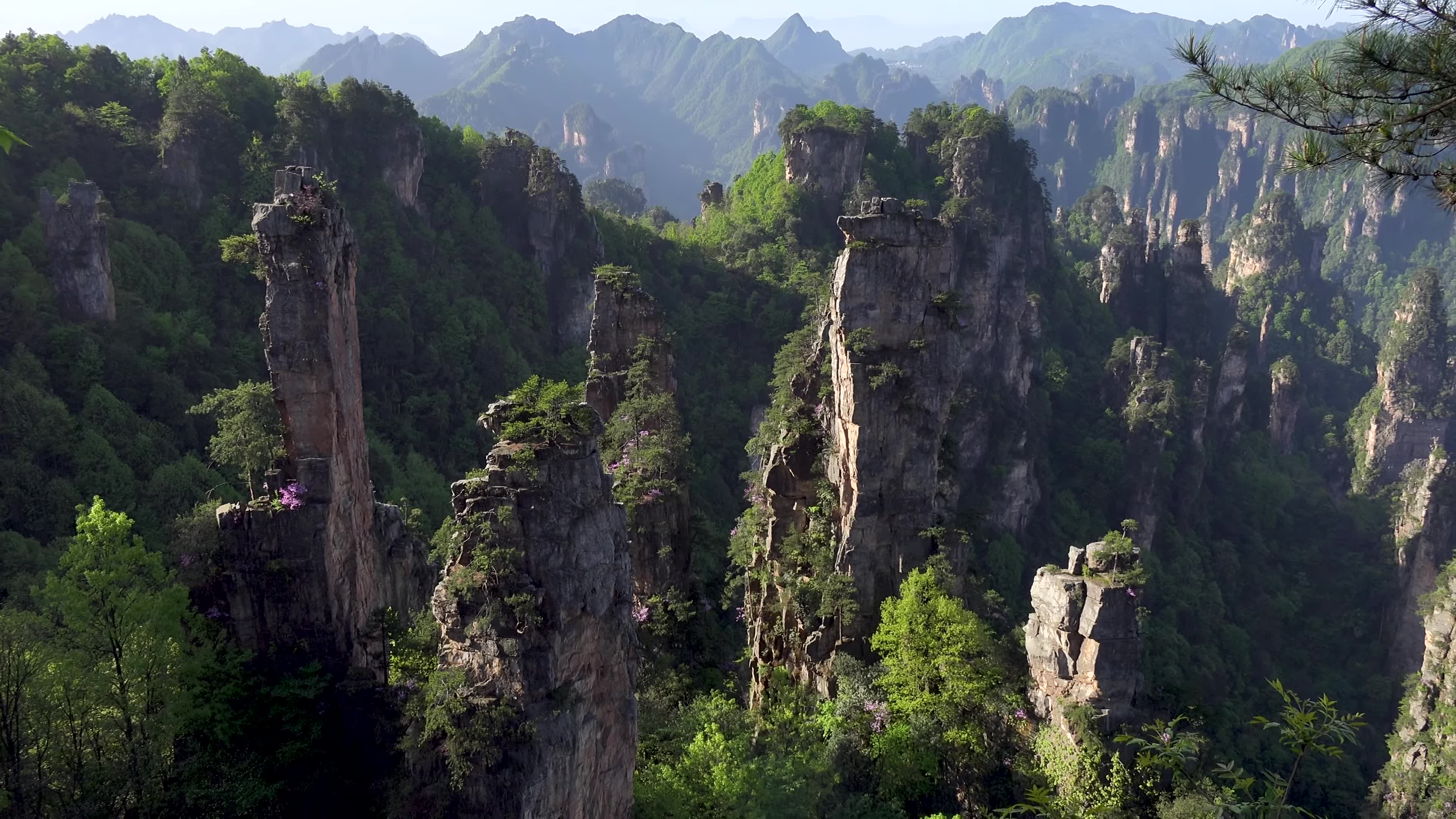 实拍张家界武陵源风光,鬼斧神工的山峦考验着你的想象