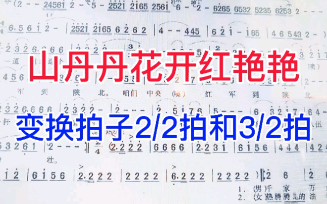 [图]简谱乐理知识1《山丹丹开花红艳艳》唱谱，二二拍二三拍和四二拍有什么关系