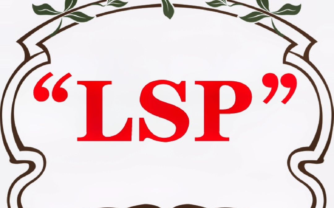 “LSP”什么意思?哔哩哔哩bilibili