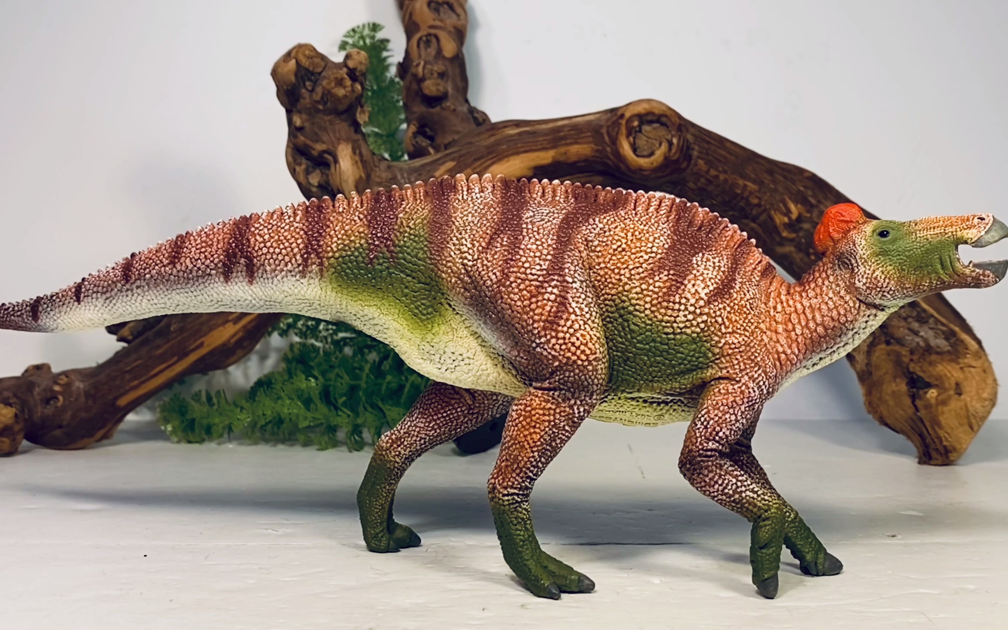 (转载)collecta 2022豪华埃德蒙顿龙评测