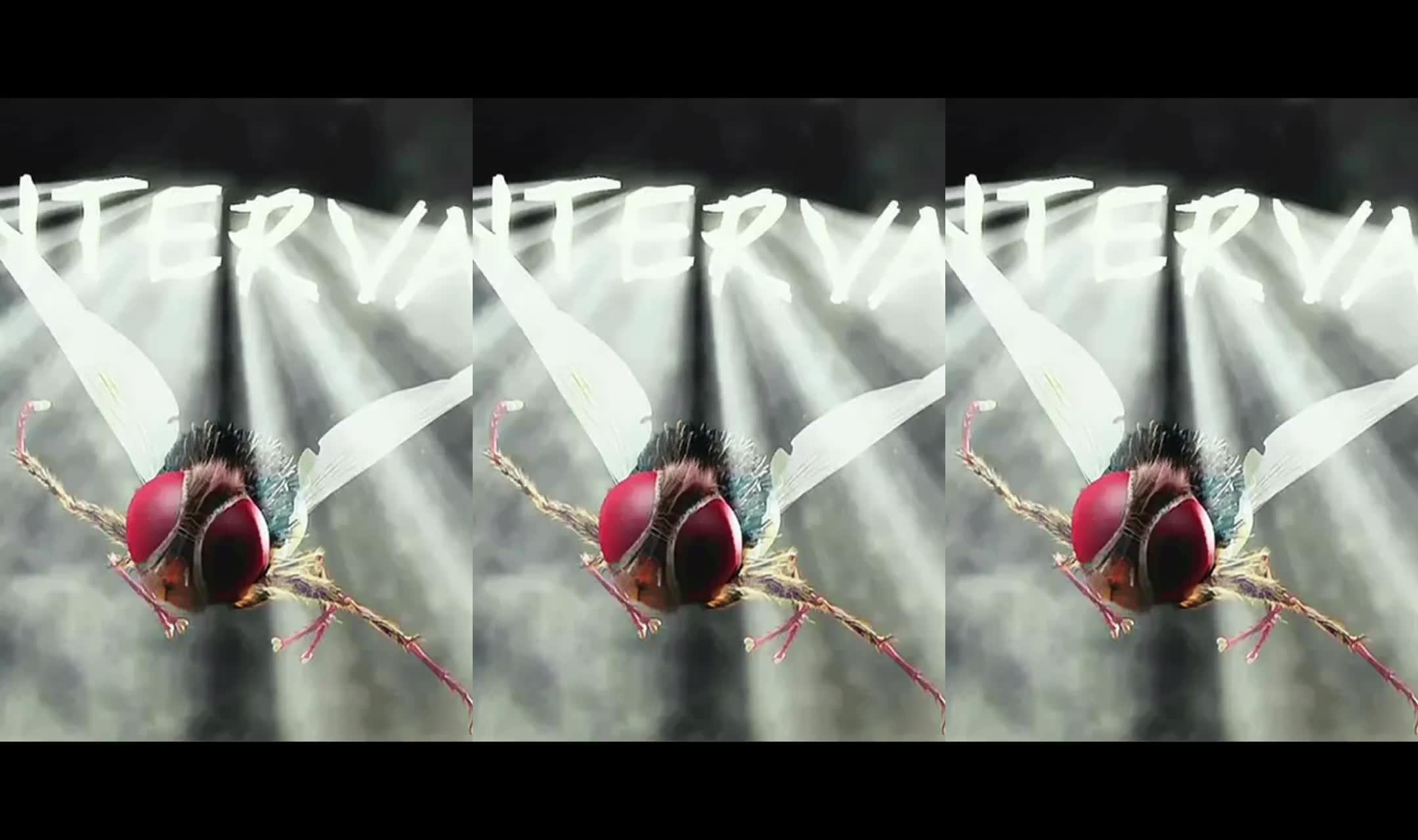 一部印度神剧功夫小蝇 萤火计划 影视解说 上热门