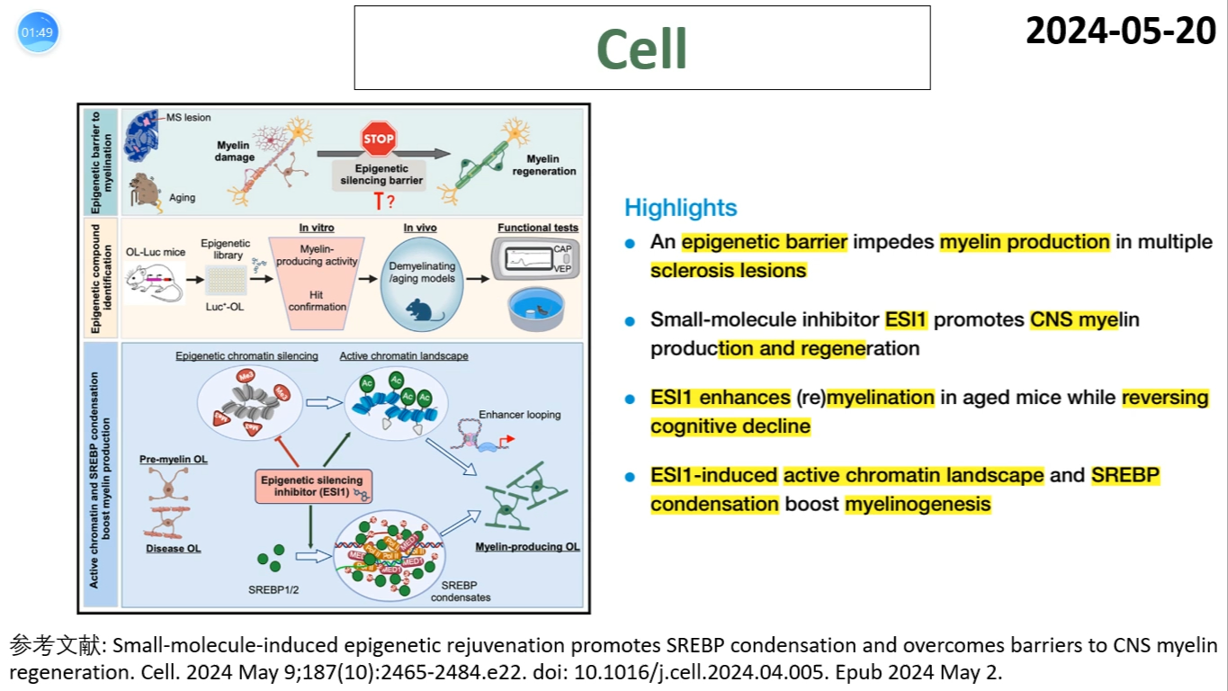 Cell—多发性硬化研究重磅:小分子抑制剂ESI1促进髓鞘生成并改善认知功能损害哔哩哔哩bilibili