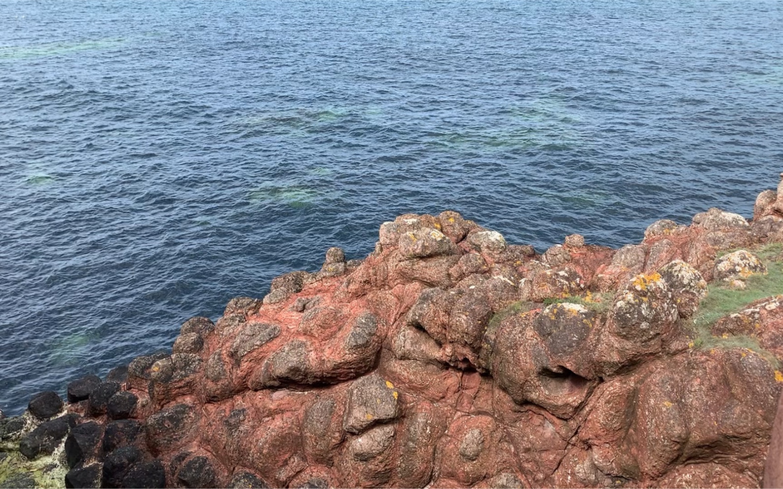 活动作品哩哩哩去冒险温带海洋篇05