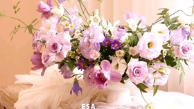 简单好看的手提包包型花盒插花教程 初冬的第一个粉色系盒子 花艺教程 哔哩哔哩 つロ干杯 Bilibili