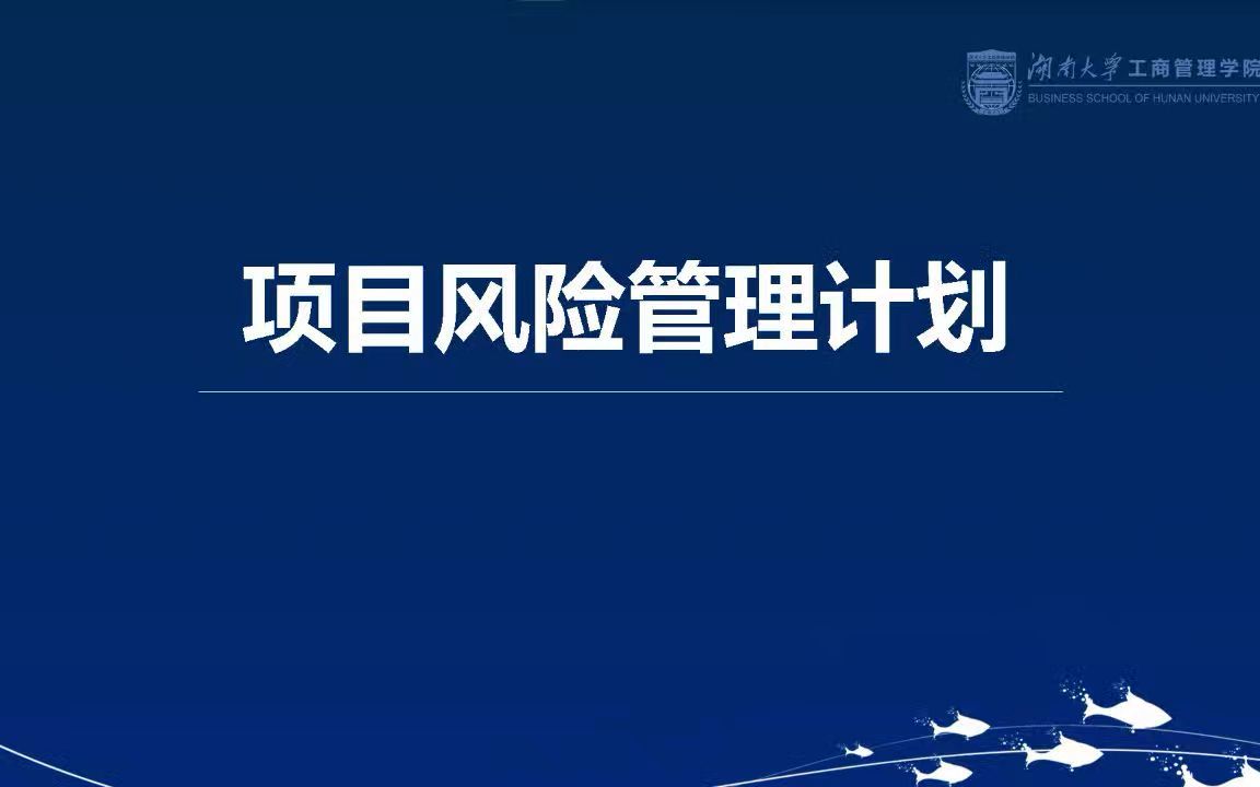 8.1第八章项目风险管理计划项目风险管理概述哔哩哔哩bilibili