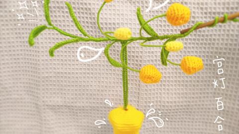 搜索 哔哩哔哩 つロ干杯 Bilibili