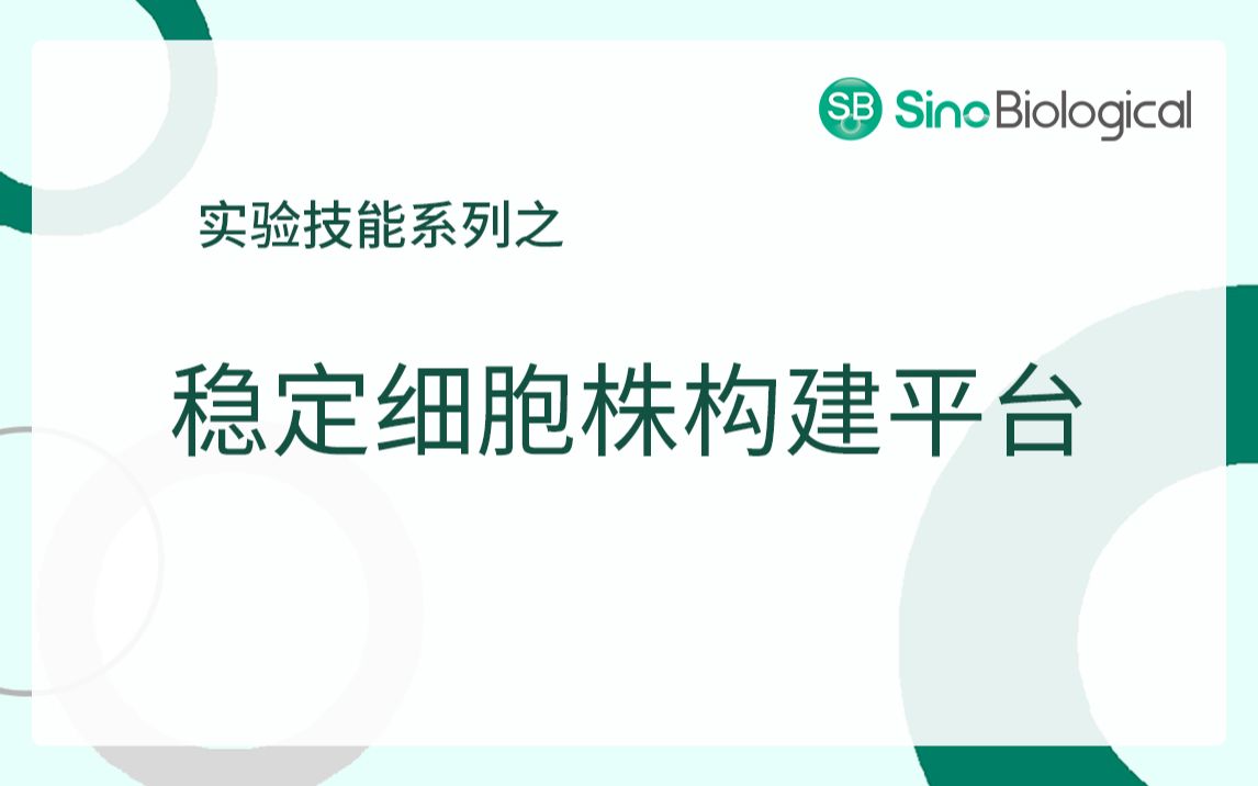 实验技能|稳定细胞株构建平台哔哩哔哩bilibili