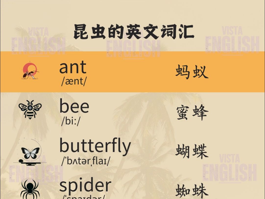 常见昆虫 — 速记单词哔哩哔哩bilibili