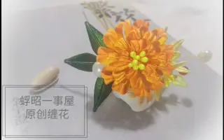 菊芥 搜索结果 哔哩哔哩 Bilibili