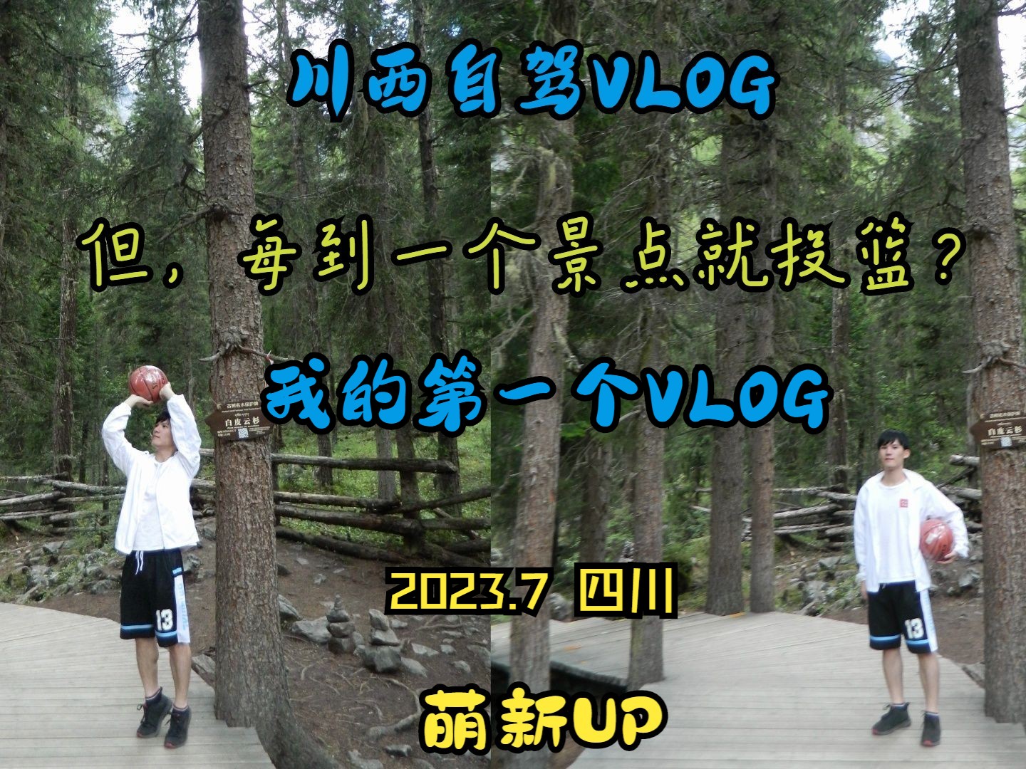 [图]雪山与湖泊🏔，草原与树林🌳，以及——篮球🏀！（川西自驾Vlog）