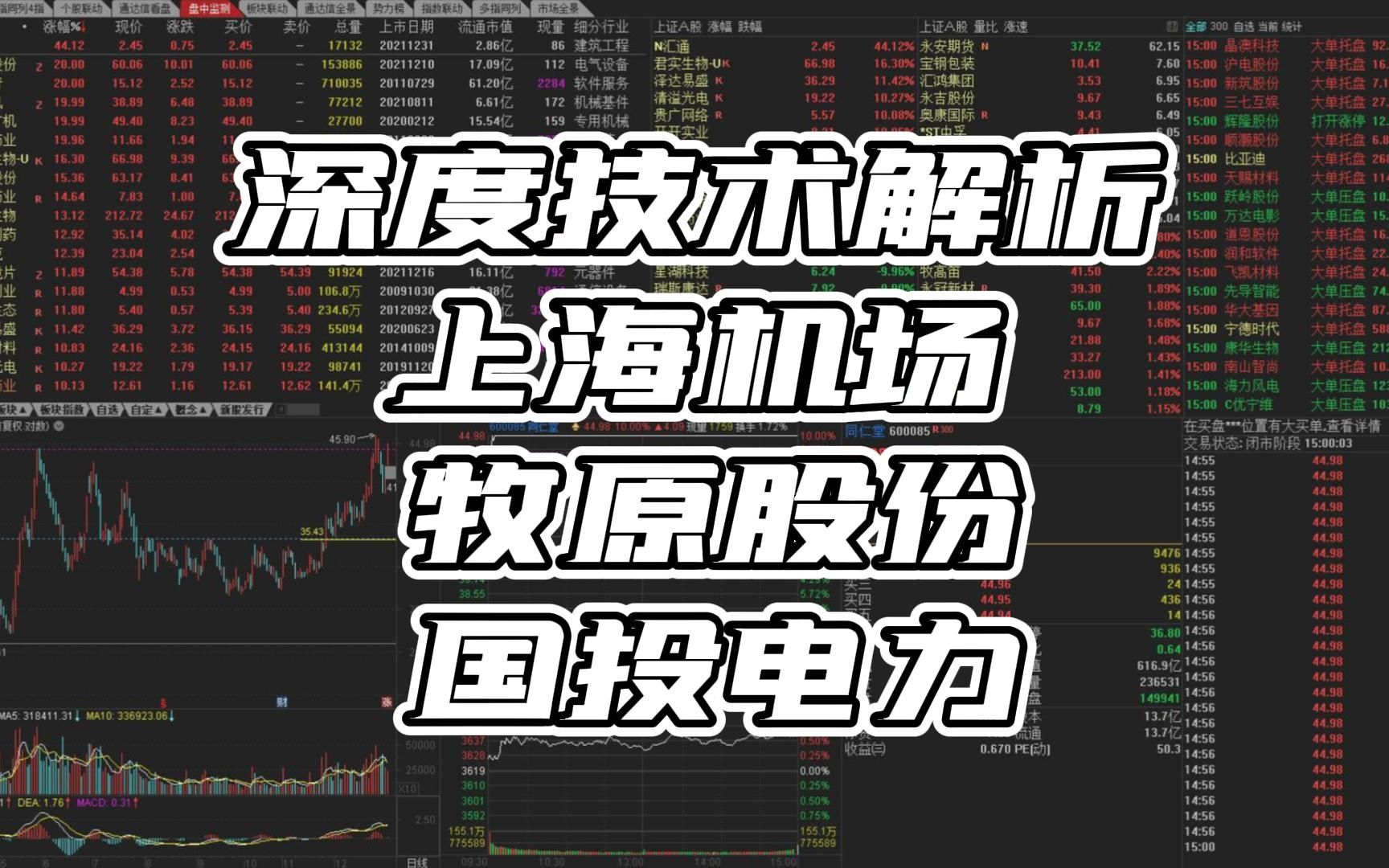 深度技术分析及实践应用 牧原股份 上海机场 国投电力哔哩哔哩bilibili