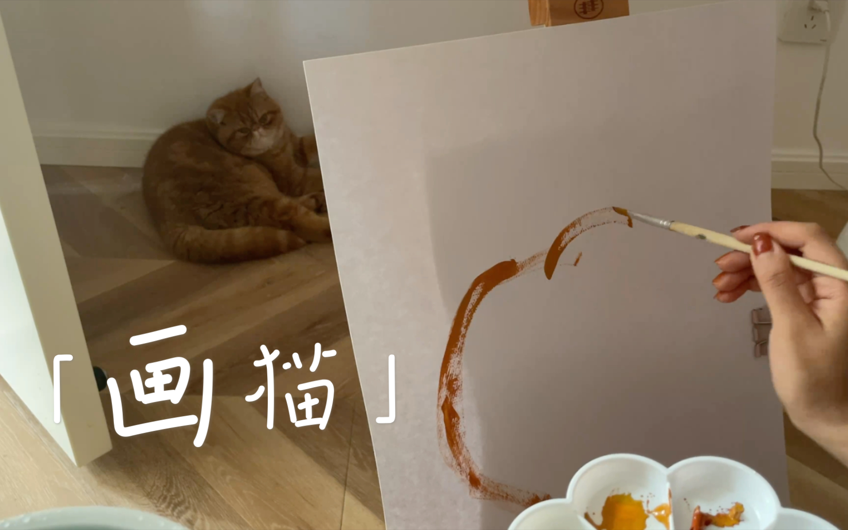 《 画 猫 》哔哩哔哩bilibili