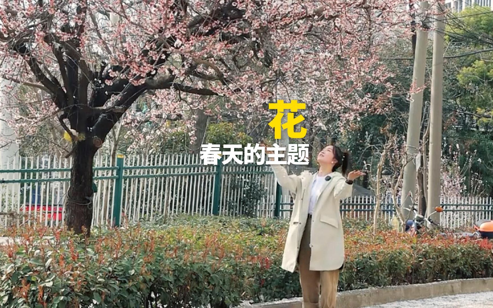 花字的演变哔哩哔哩bilibili